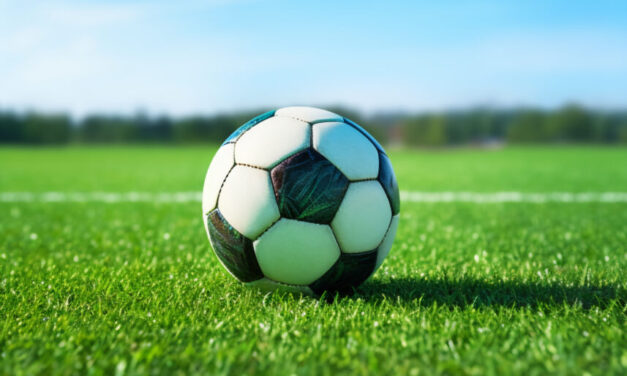 Medina de Rioseco acoge este sábado el Día del Prebenjamín por segundo año consecutivo