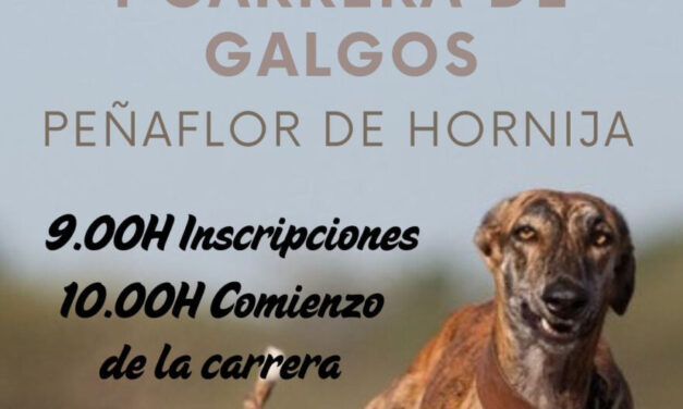 Peñaflor de Hornija acoge su I Carrera de Galgos