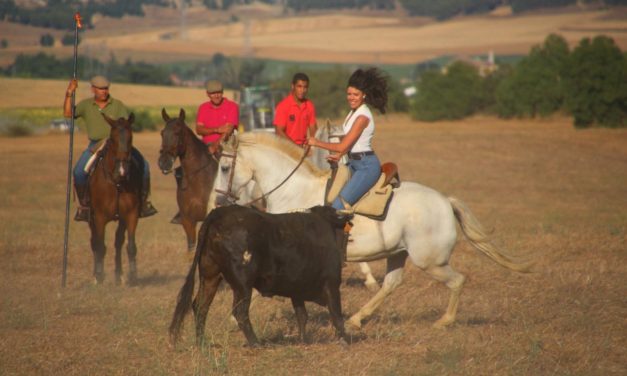 Alrededor de 150 caballistas participan en el encierro de Castilviejo