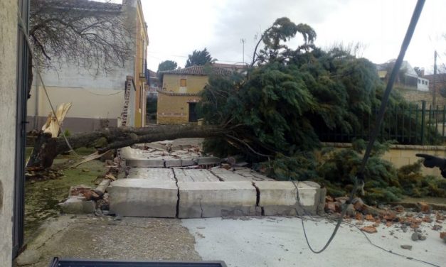 Un árbol cae sobre el parque infantil de Palazuelo por el viento