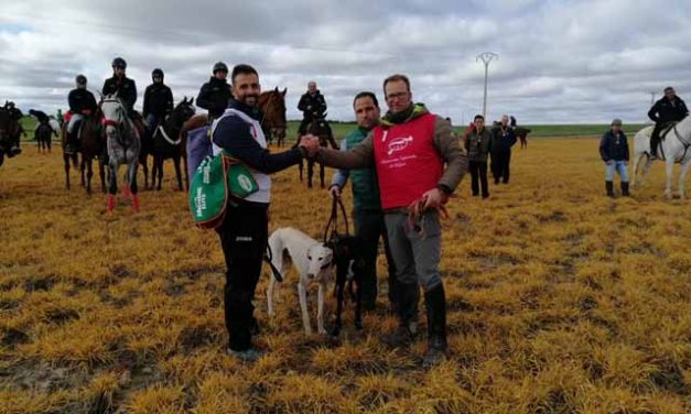 Liosa de Clemente, nueva campeona de España de galgos