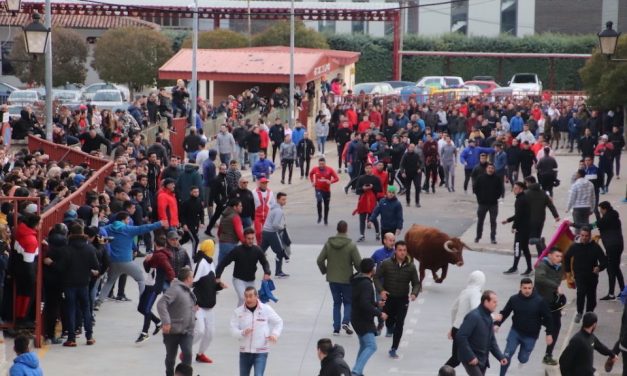 Miles de aficionados arropan al toro del Carnaval de Rioseco