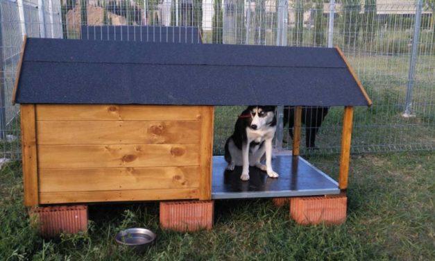 El Centro Canino La Malena de Villabrágima cuida gratis a las mascotas de sanitarios por el coronavirus