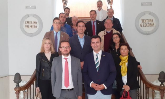 Gumiel de Izán, Fuentes de Nava, Tordesillas, Simancas y Alcañices se incorporan a la Red de Conjuntos Históricos de Castilla y León
