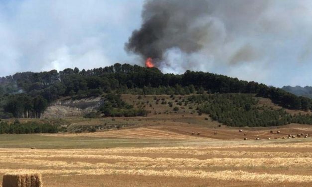 La Junta declara alarma de riesgo de incendios forestales por causas meteorológicas los días 30 y 31 de julio, y alerta el 1 de agosto en toda la Comunidad