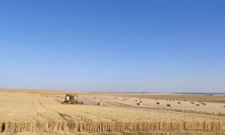 La cosecha de cereal en Castilla y León alcanza los 8,4 millones de toneladas, la segunda mayor producción de los últimos 35 años