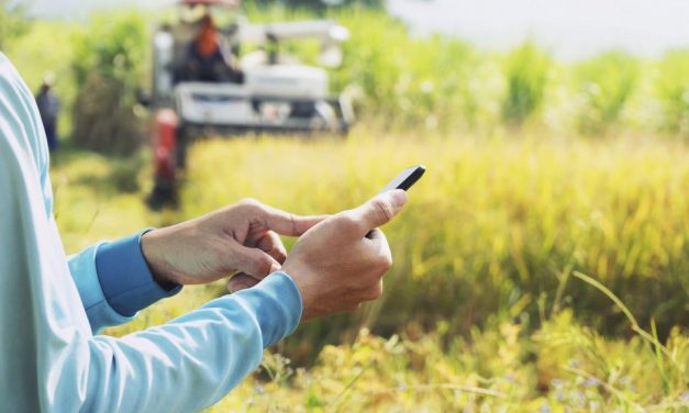 La Junta aporta 4 millones de euros a la convocatoria estatal de subvenciones para la extensión de internet en el medio rural