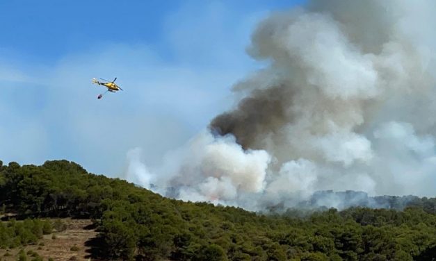 La Junta rebaja a nivel 0 el fuego declarado entre Villagarcía de Campos y La Santa Espina
