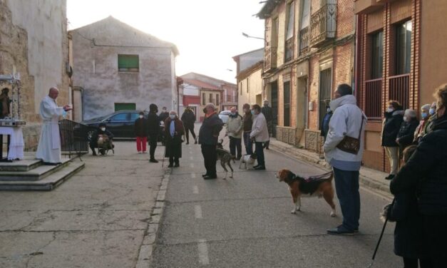 Las mascotas reciben en San Pedro la bendición en el primer San Antón en el que se las consideran seres sintientes