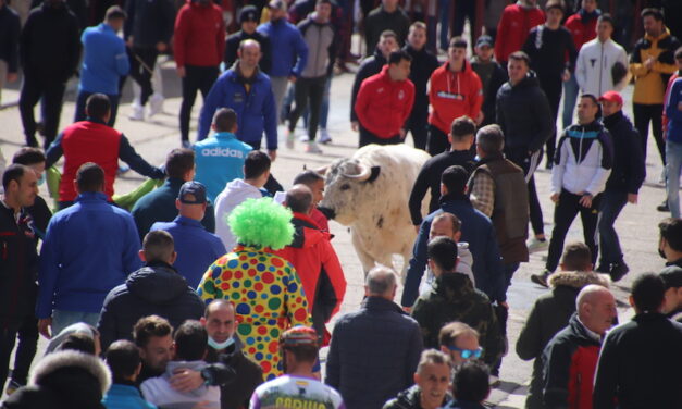 El Toro del Carnaval reúne a cientos de aficionados en Medina de Rioseco