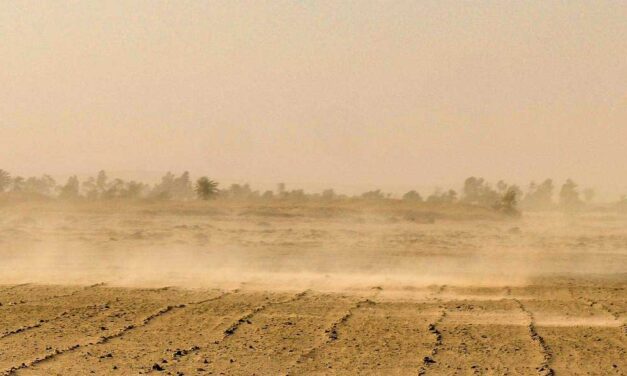 La calima de polvo africano regresa este jueves