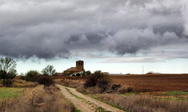 La Junta edita el libro ‘Tratado de Cabreros del Monte’ que recoge el acuerdo suscrito en 1206 entre Alfonso IX de León y Alfonso VIII de Castilla