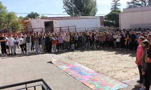 El alumnado del I.E.S. Campos y Torozos denuncia las pintadas contra del honor de su jefa de estudios