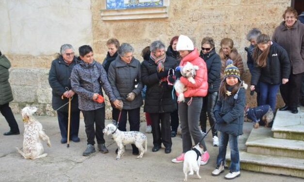 El frío no impide la bendición de los animales por San Antón en San Pedro de Latarce
