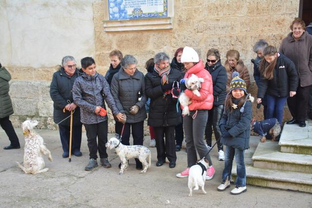 El frío no impide la bendición de los animales por San Antón en San Pedro de Latarce