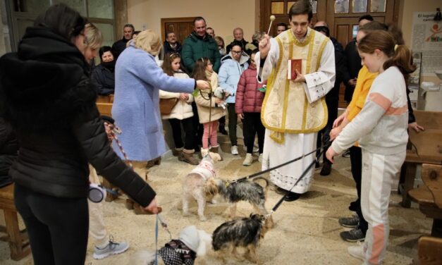 San Antón bendice a las mascotas en Medina de Rioseco