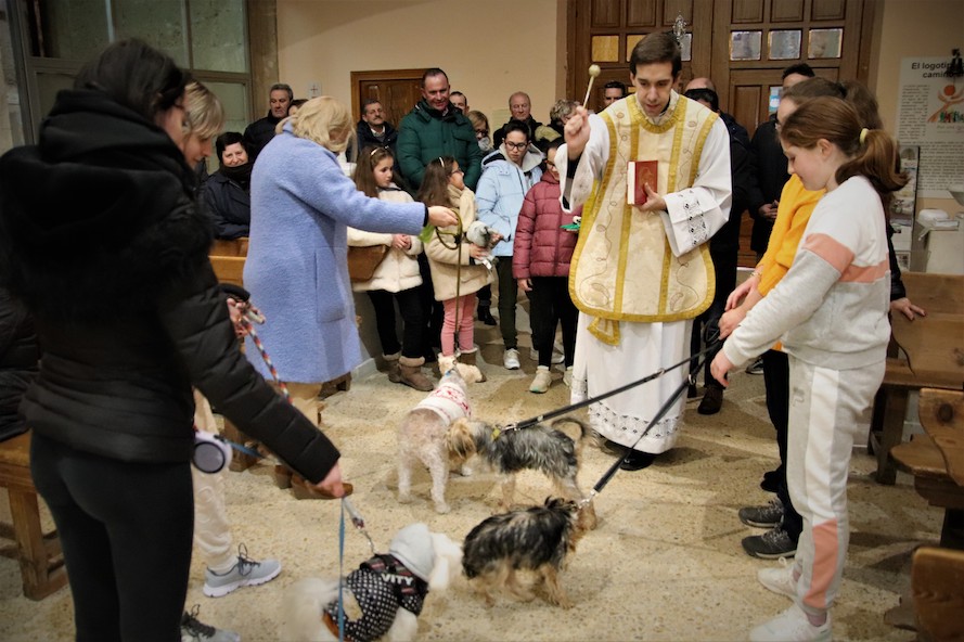 San Antón bendice a las mascotas en Medina de Rioseco