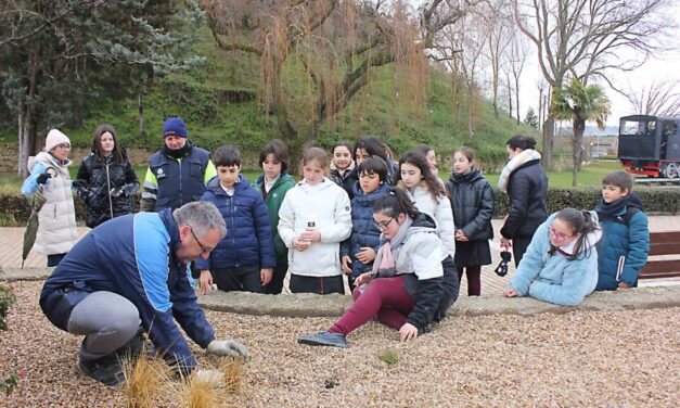Escolares de San Vicente de Paúl colaboran en plantación de los nuevos jardines de Medina de Rioseco