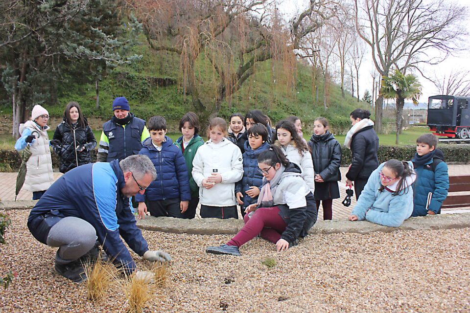 Escolares de San Vicente de Paúl colaboran en plantación de los nuevos jardines de Medina de Rioseco