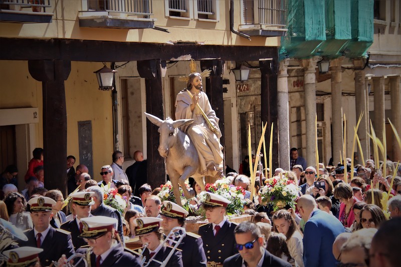 Devoción y entusiasmo en la procesión de Domingo de Ramos en Medina de Rioseco