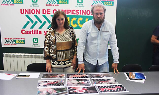 La granja de conejos Potosí en Valverde de Campos denuncia cambios en el comportamiento de sus animales por un parque eólico