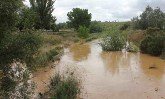 El río Sequillo a su paso por Medina de Rioseco supera los 1,80 metros de profundidad