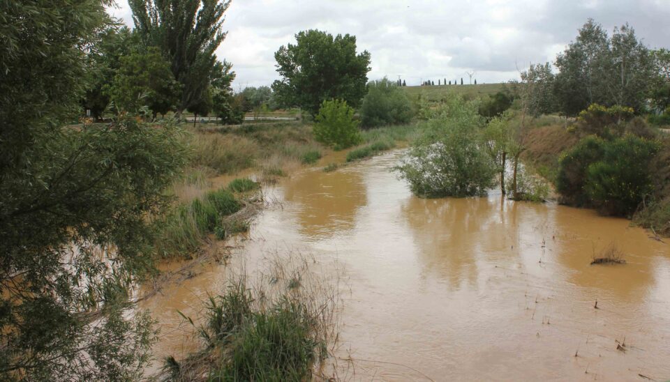 El río Sequillo a su paso por Medina de Rioseco supera los 1,80 metros de profundidad