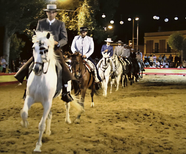 El caballo, el  flamenco y la doma vaquera, principales protagonistas de la ‘XIII Feria del Caballo, Ciudad de los Almirantes’