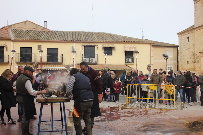 La  fiesta de la matanza de Villabrágima reúne a más de 800 personas en un día de tradición y riqueza gastronómica