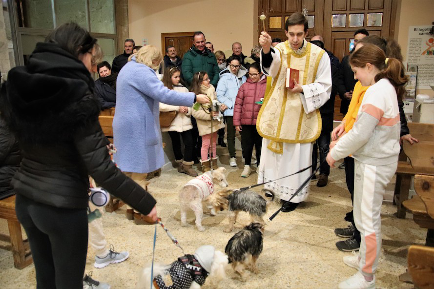 Horarios de las iglesias para la bendición de los animales en San Antón en San Pedro de Latarce y Medina de Rioseco