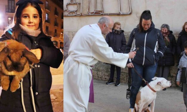 Las mascotas reciben su bendición por San Antón
