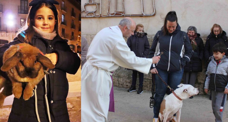 Las mascotas reciben su bendición por San Antón