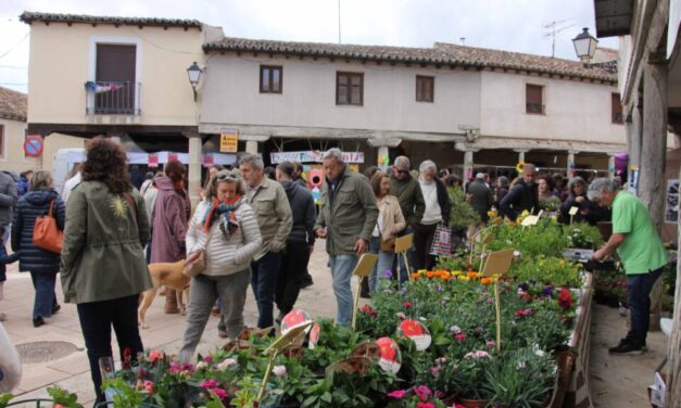 Ampudia vive un gran fin de semana en torno a la flor
