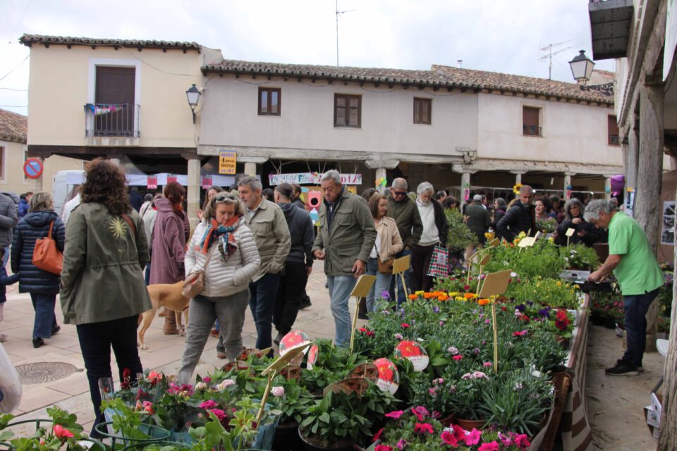 Ampudia vive un gran fin de semana en torno a la flor