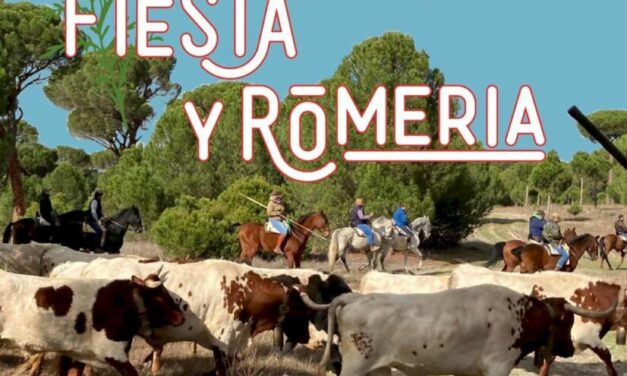 Fiesta flamenca hoy sábado en La Mudarra