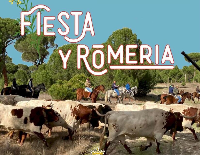 Fiesta flamenca hoy sábado en La Mudarra