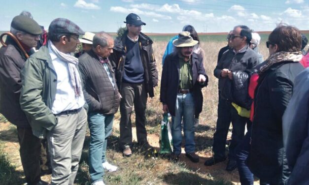 La Jornada del Cardillo llegará a San Pedro de Latarce el 27 de abril