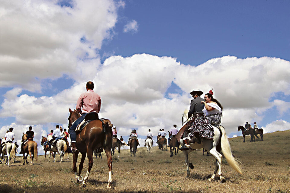 Medina de Rioseco inicia esta tarde su XIV edición de la Feria del Caballo