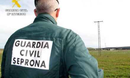 La Guardia Civil investiga posible abandono de perros en un balcón de una vivienda