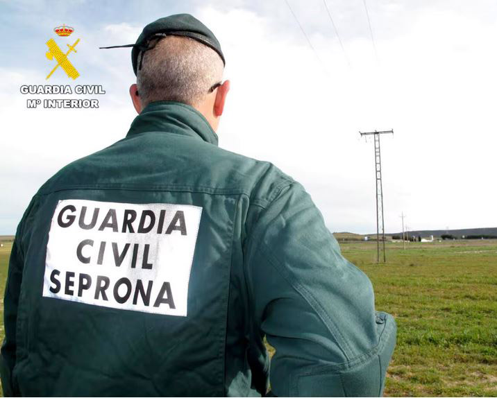 La Guardia Civil investiga posible abandono de perros en un balcón de una vivienda