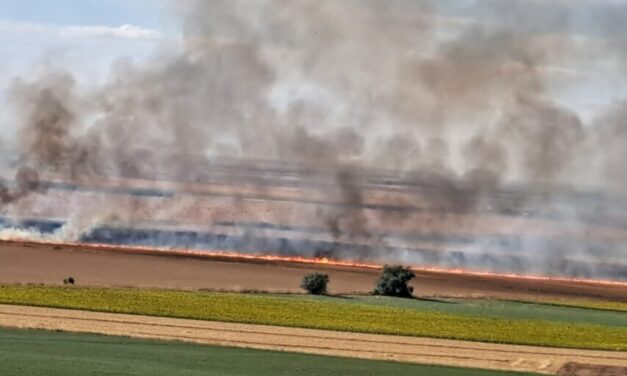 Declarado un incendio en tierras de Montealegre que avanza hacia Villerías