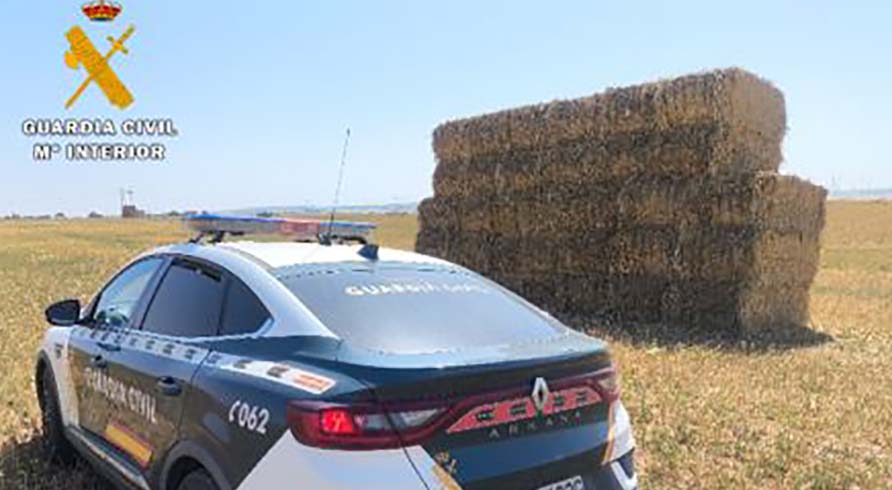 Investigado un agricultor de Tierra de Campos por delito de estafa
