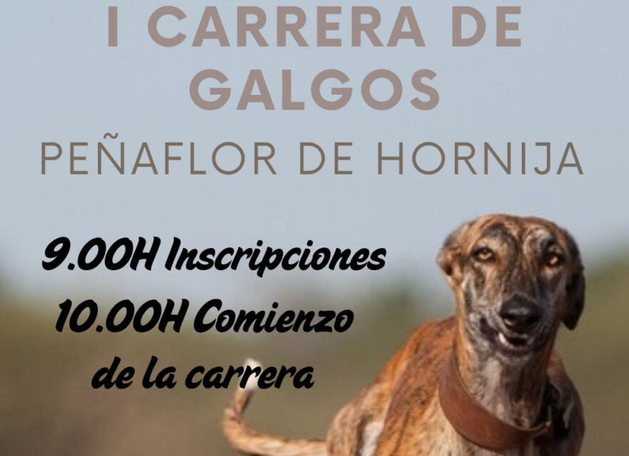 Peñaflor de Hornija acoge su I Carrera de Galgos
