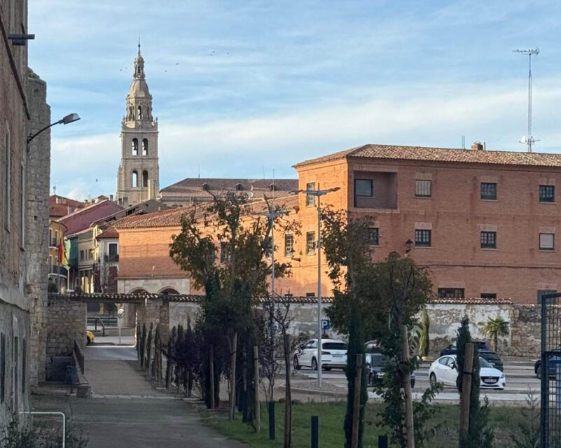 Medina de Rioseco, finalista de la Copa España Creativa 2025