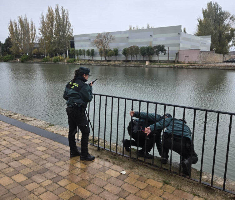 Salvan a un hombre de ahogarse en el Canal de Castilla, en Medina de Rioseco
