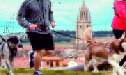 Ampudia acoge la II edición del Canicross con una carrera para disfrutar junto a los perros