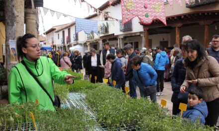 Todo listo en Ampudia para un Mercado de la Flor lleno de actividades