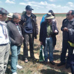 San Pedro acoge este sábado la XI Jornada del Cardillo