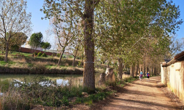 Medina de Rioseco pide actuar sin romper el alma del Canal de Castilla