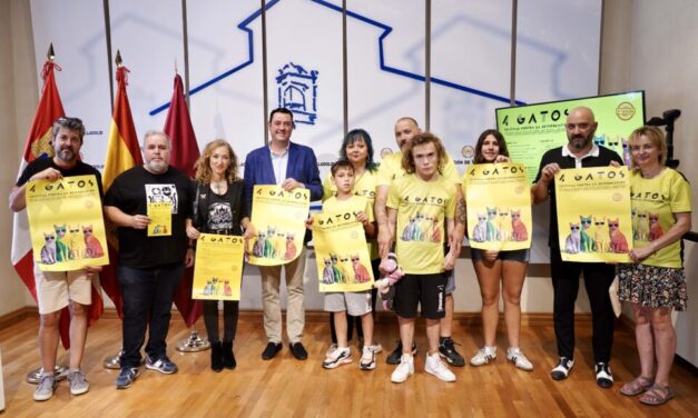 San Pelayo volverá a maullar con fuerza en la IX edición del Festival 4 Gatos